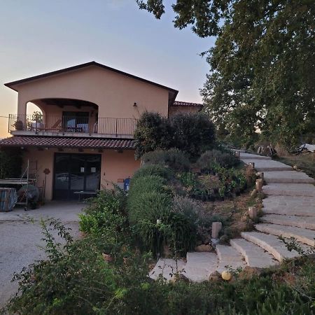La Residenza Di Campagna Guest House Manciano Exterior photo