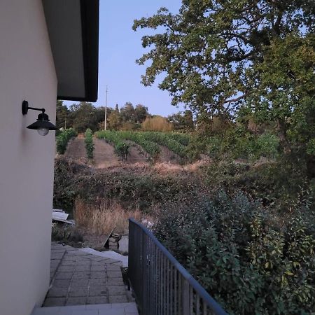 La Residenza Di Campagna Guest House Manciano Exterior photo
