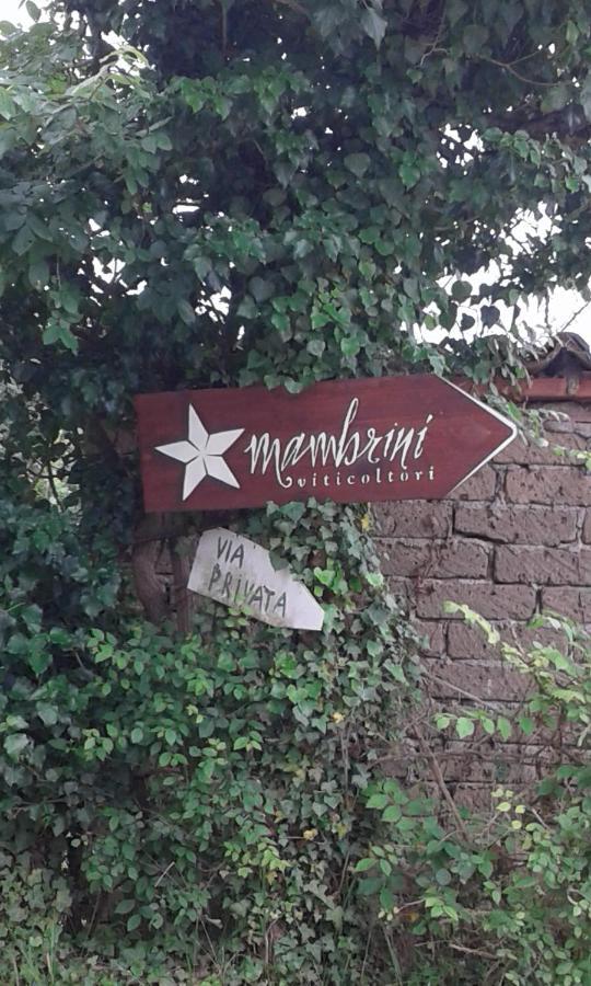 La Residenza Di Campagna Guest House Manciano Exterior photo