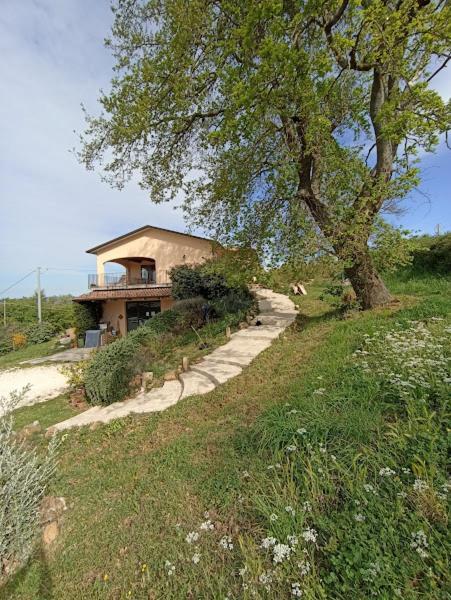 La Residenza Di Campagna Guest House Manciano Exterior photo